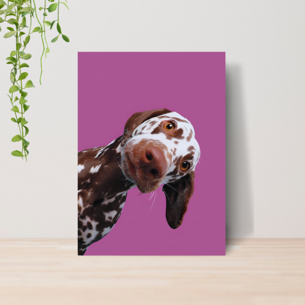 Quadro PetShop Banho e Tosa Animais A4 | Placa MDF 01