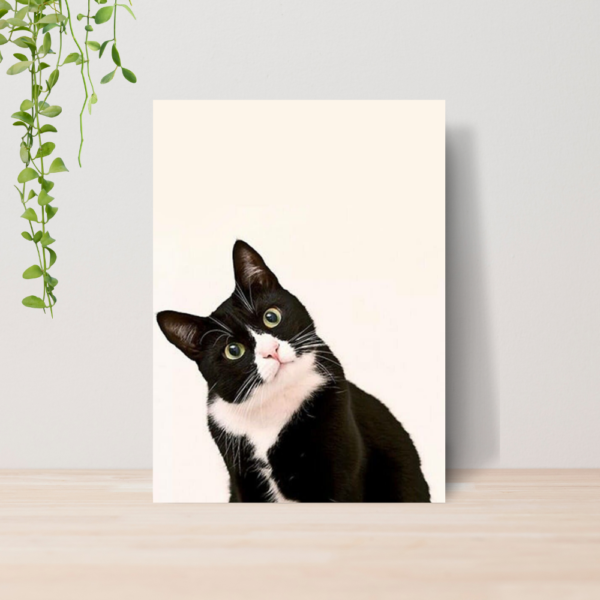 Quadro PetShop Banho e Tosa Animais A4 | Placa MDF 10