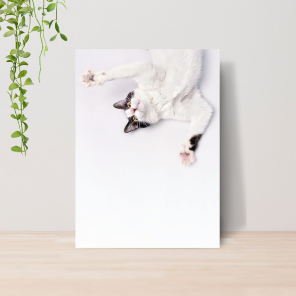 Quadro PetShop Banho e Tosa Animais A4 | Placa MDF 11