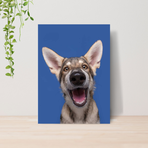 Quadro PetShop Banho e Tosa Animais A4 | Placa MDF 13