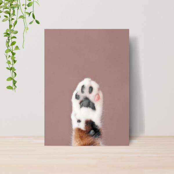 Quadro PetShop Banho e Tosa Animais A4 | Placa MDF 15