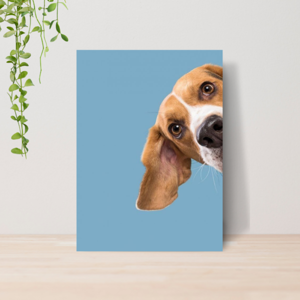 Quadro PetShop Banho e Tosa Animais A4 | Placa MDF 19