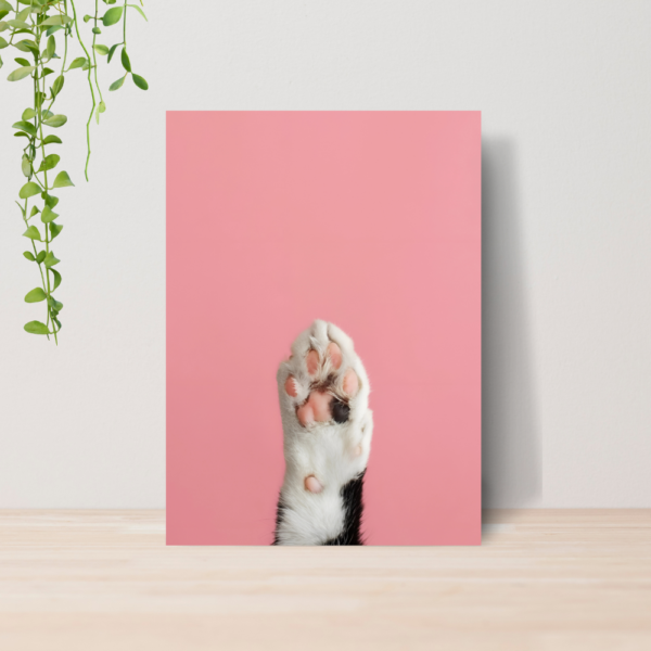 Quadro PetShop Banho e Tosa Animais A4 | Placa MDF 02