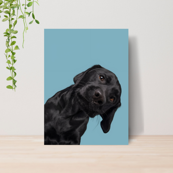 Quadro PetShop Banho e Tosa Animais A4 | Placa MDF 20