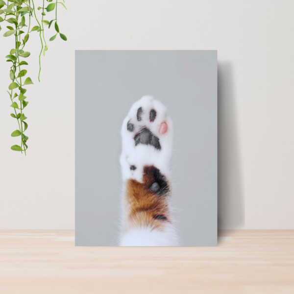 Quadro PetShop Banho e Tosa Animais A4 | Placa MDF 04