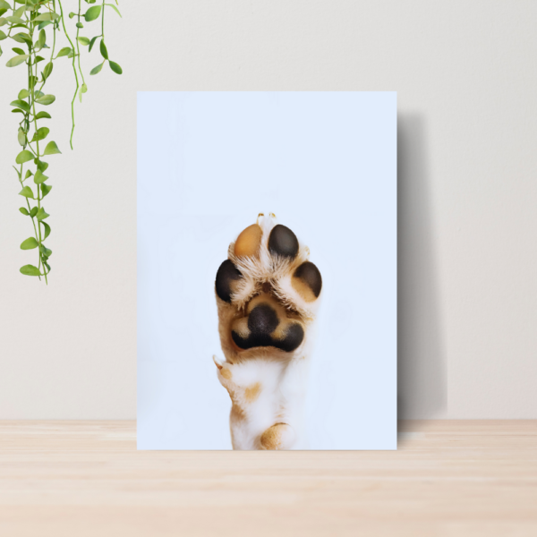 Quadro PetShop Banho e Tosa Animais A4 | Placa MDF 05