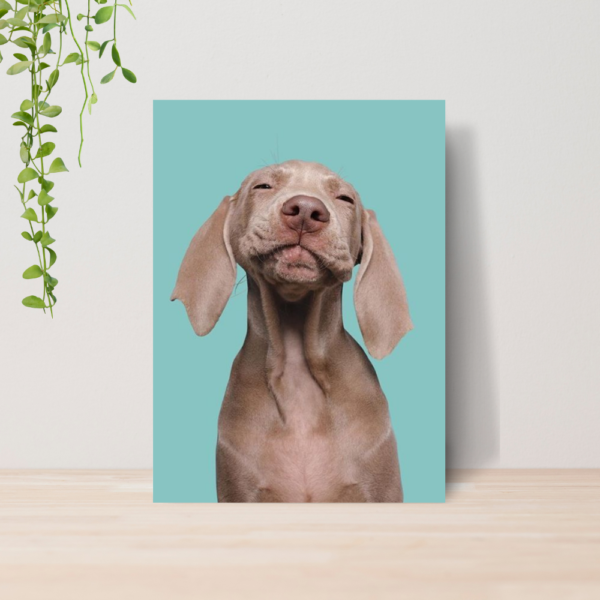 Quadro PetShop Banho e Tosa Animais A4 | Placa MDF 09