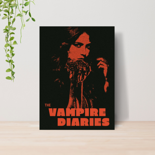 Quadro Diários De Um Vampiro Serie The Vampire Diaries 04