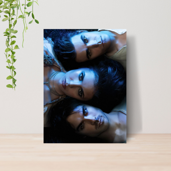 Quadro Diários De Um Vampiro Serie The Vampire Diaries 06