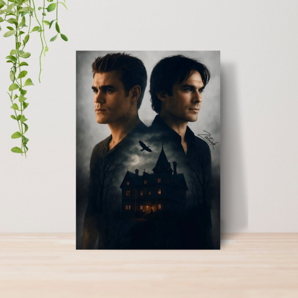 Quadro Diários De Um Vampiro Serie The Vampire Diaries 08