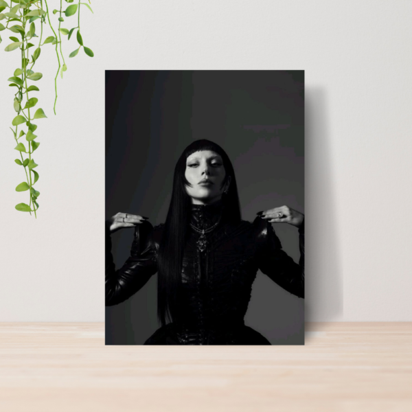 Quadro Lady Gaga Pop Art Music Diva A4 | Placa MDF 06